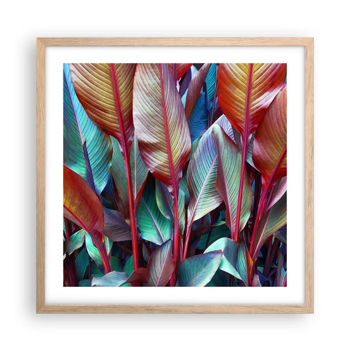 Póster en marco roble claro - Un matorral de colores - 50x50 cm
