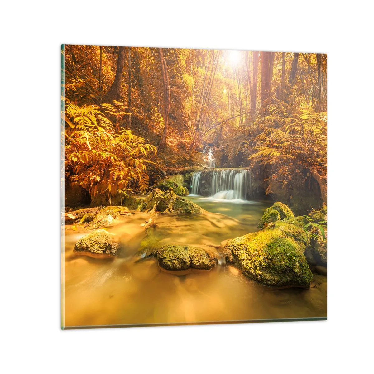 Cuadro sobre vidrio - Impresiones sobre Vidrio - Cascada forestal en oro - 70x70 cm