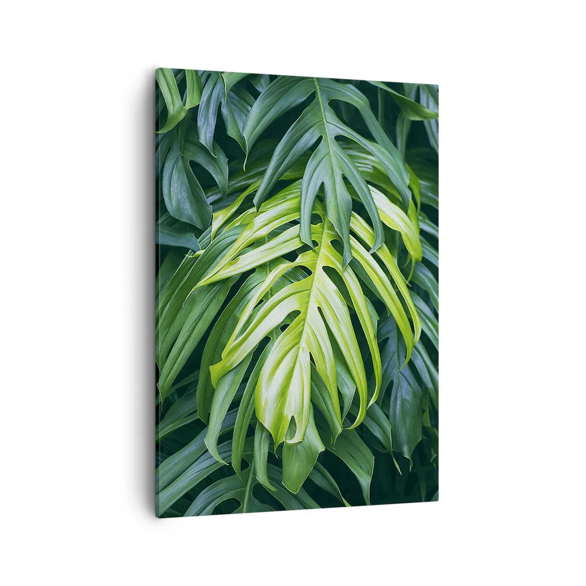 Cuadro sobre lienzo - Impresión de Imagen - Hojas verdes en un denso arreglo tropical. - 50x70cm - Sumérjase en la frescura - Decoración de pared moderna para salón y dormitorio ARTTOR