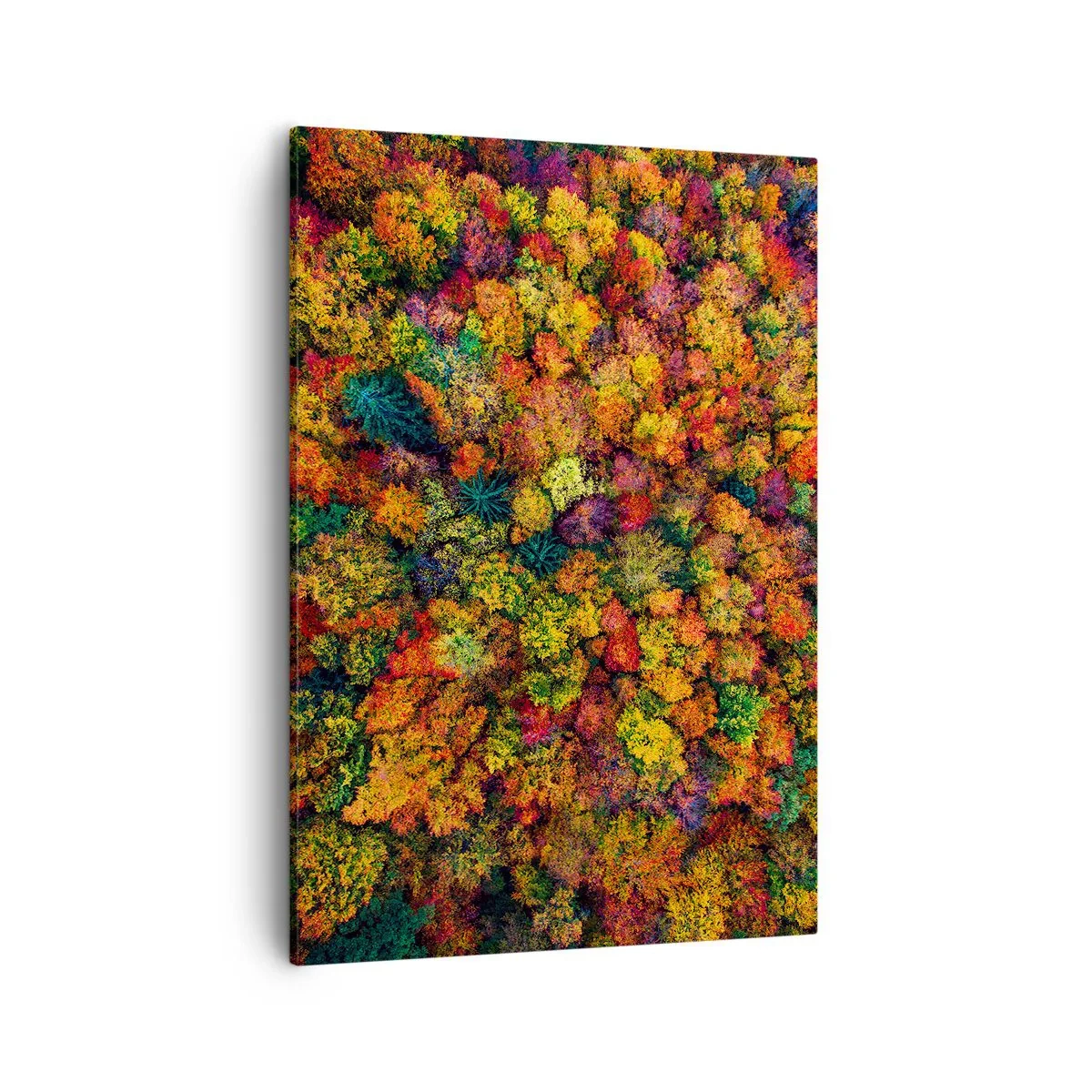 Cuadro sobre lienzo - Impresión de Imagen - Copas de árboles coloridas en la paleta otoñal - 50x70cm - Un ramo de árboles otoñales - Decoración de pared moderna para salón y dormitorio ARTTOR