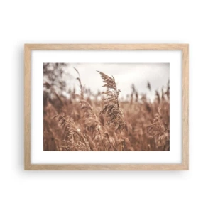 Póster en marco roble claro - El otoño ya está en los campos - 40x30 cm