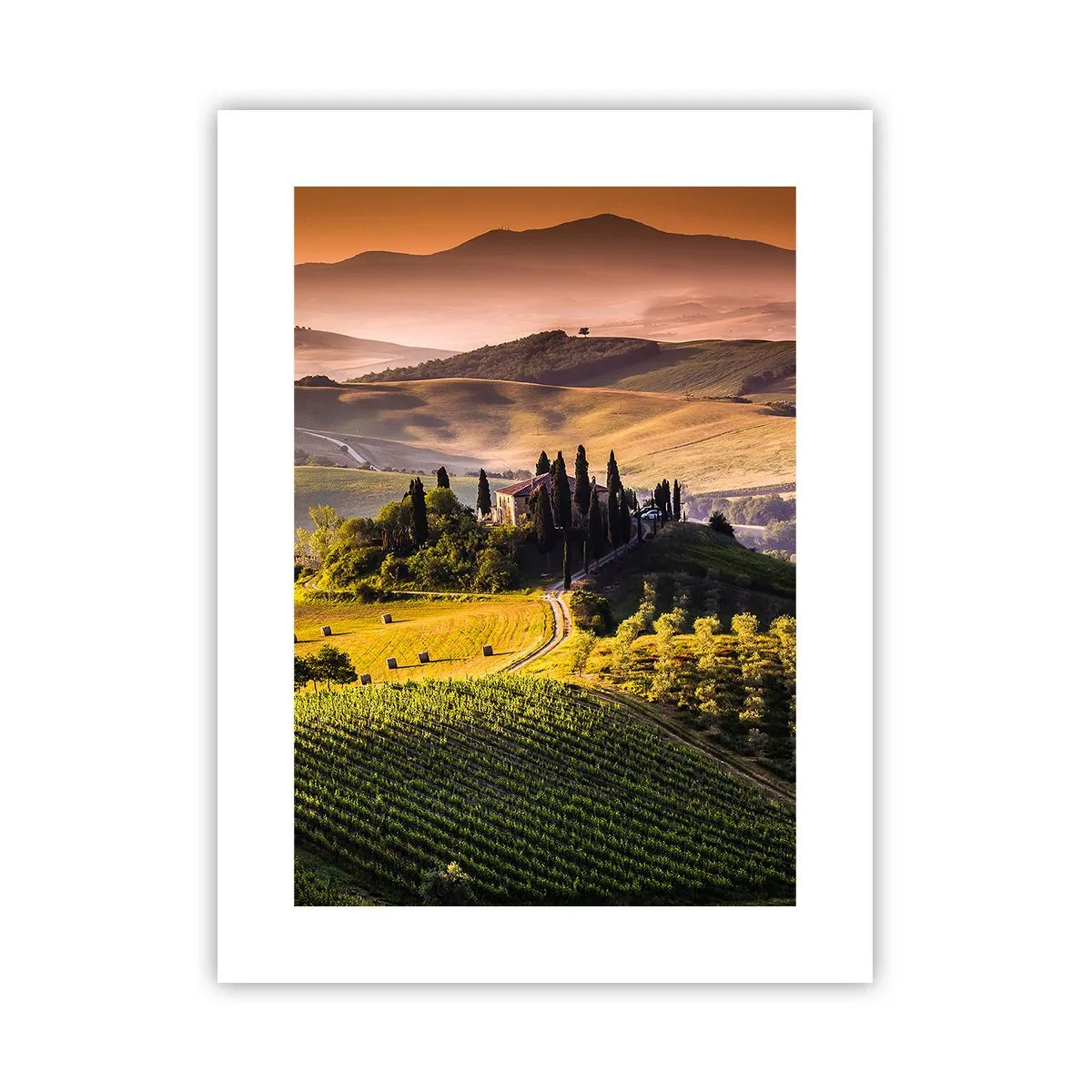 Póster - Paisaje toscano - 30x40 cm