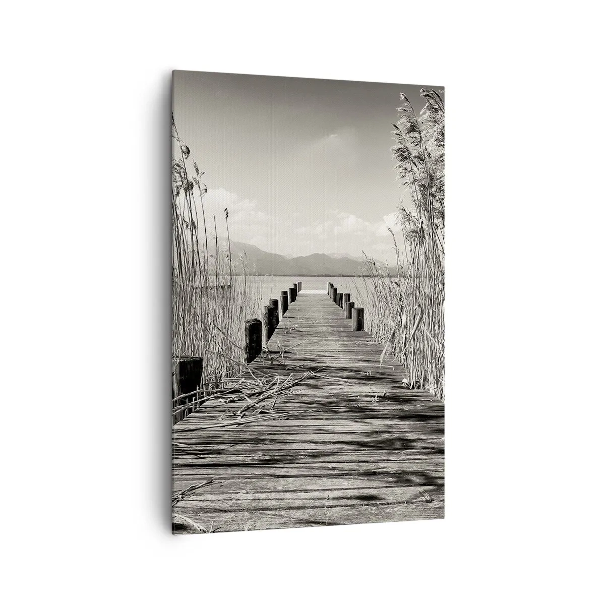 Cuadro sobre lienzo - Impresión de Imagen - Un embarcadero de madera entre hierbas altas sobre un lago de tonos sepia. - 80x120cm - En la quietud de los juncos - Decoración de pared moderna para salón y dormitorio ARTTOR