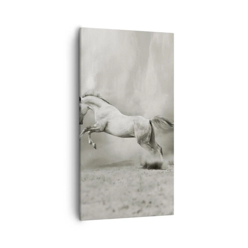 Cuadro sobre lienzo - Impresión de Imagen - Entre la realidad y el sueño - 55x100 cm