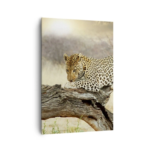 Cuadro sobre lienzo - Impresión de Imagen - Un leopardo descansando en el tronco de un árbol en la sabana. - 70x100cm - Voy por mi cuenta - Decoración de pared moderna para salón y dormitorio ARTTOR