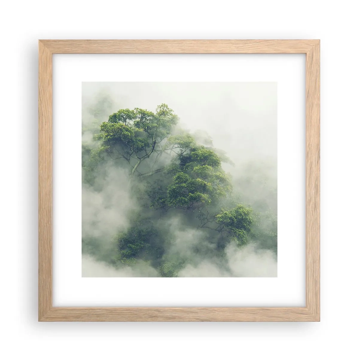 Póster en marco roble claro - Envuelto en niebla - 30x30 cm