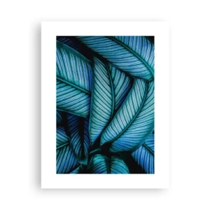 Póster - Líneas de vida - 30x40 cm