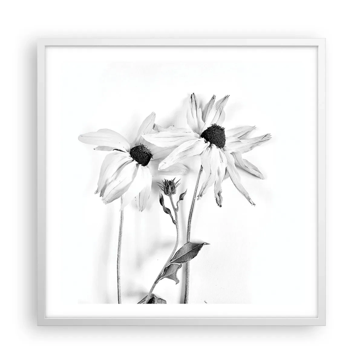 Póster en marco blanco - Nadie quiere estar solo - 60x60 cm