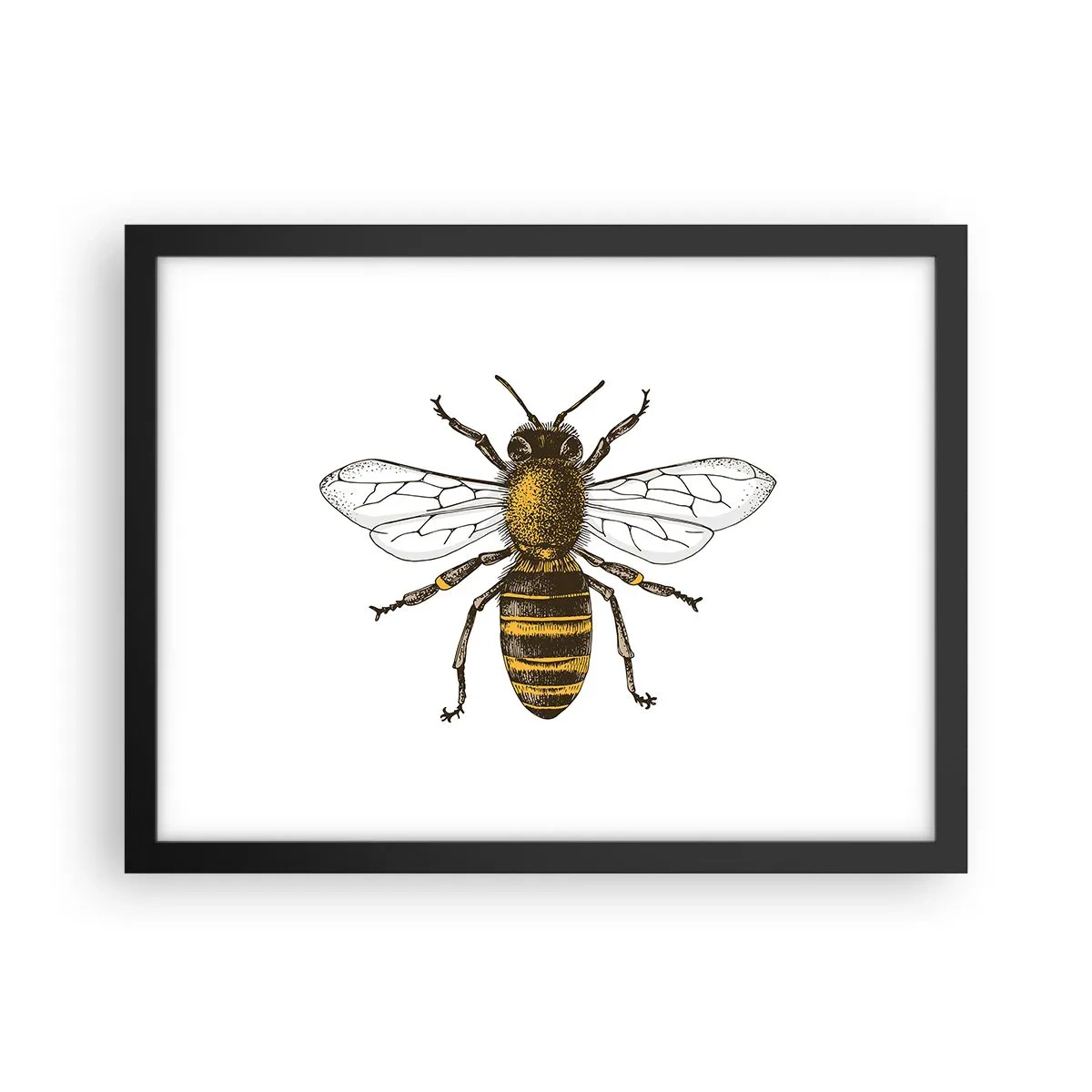 Póster en marco negro - Bondad natural - 40x30 cm