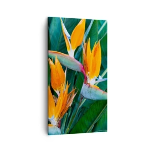 Cuadro sobre lienzo - Impresión de Imagen - ¿Es una flor o es un pájaro? - 45x80 cm