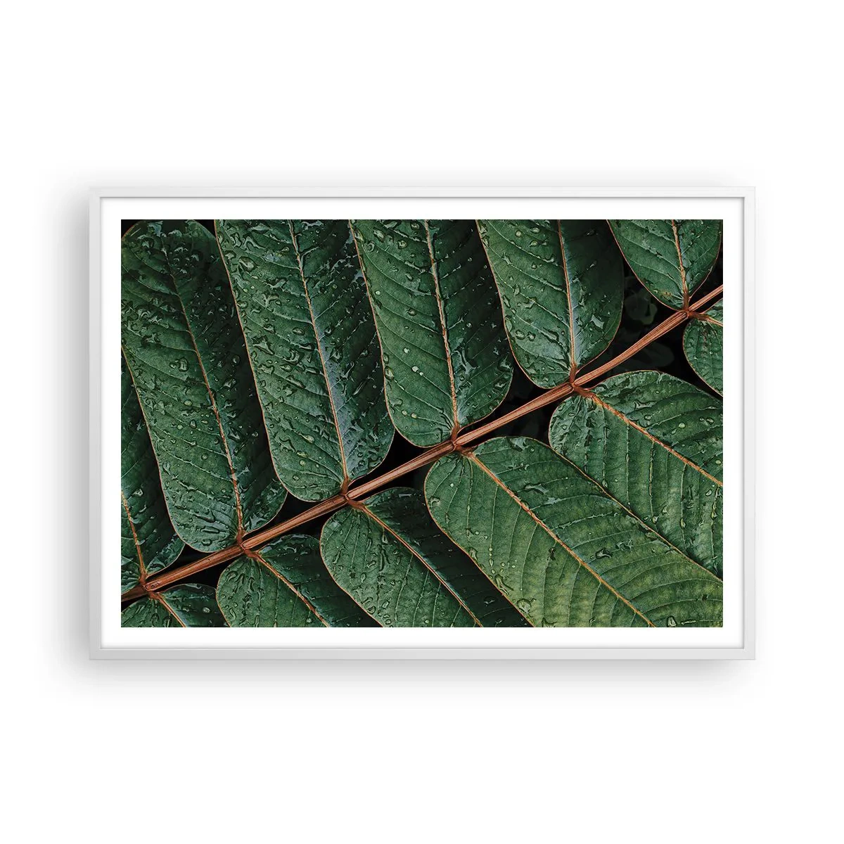 Póster en marco blanco - En un ritmo verde - 100x70 cm