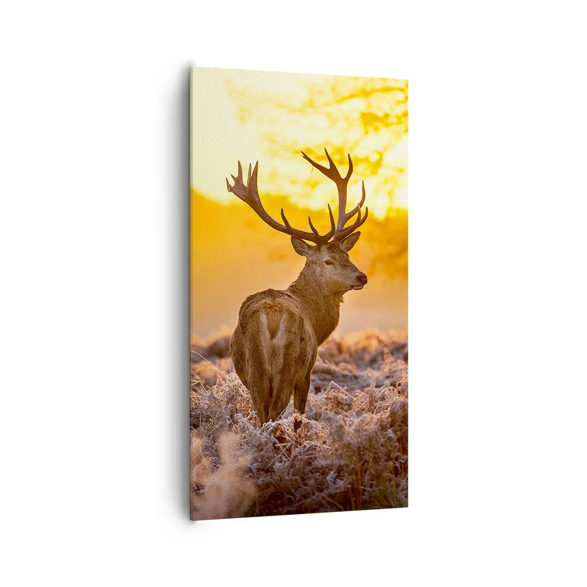 Cuadro sobre lienzo - Impresión de Imagen - Rey del bosque de otoño - 65x120 cm