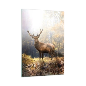 Cuadro sobre vidrio - Impresiones sobre Vidrio - Un ciervo majestuoso en un bosque otoñal iluminado por el sol - 50x70cm - Con toda la majestuosidad - Decoración de pared moderna para salón y dormitorio ARTTOR