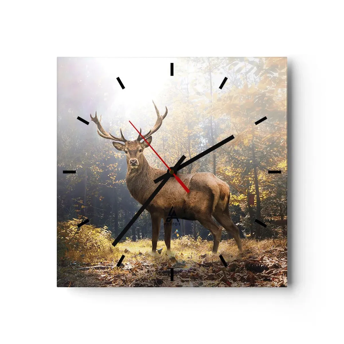 Reloj de pared - Reloj de vidrio - Con toda la majestuosidad - 40x40 cm