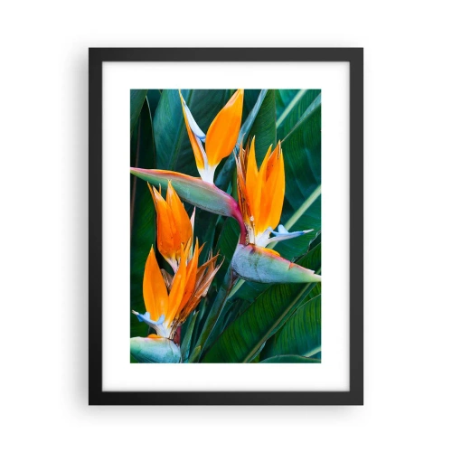 Póster en marco negro - ¿Es una flor o es un pájaro? - 30x40 cm