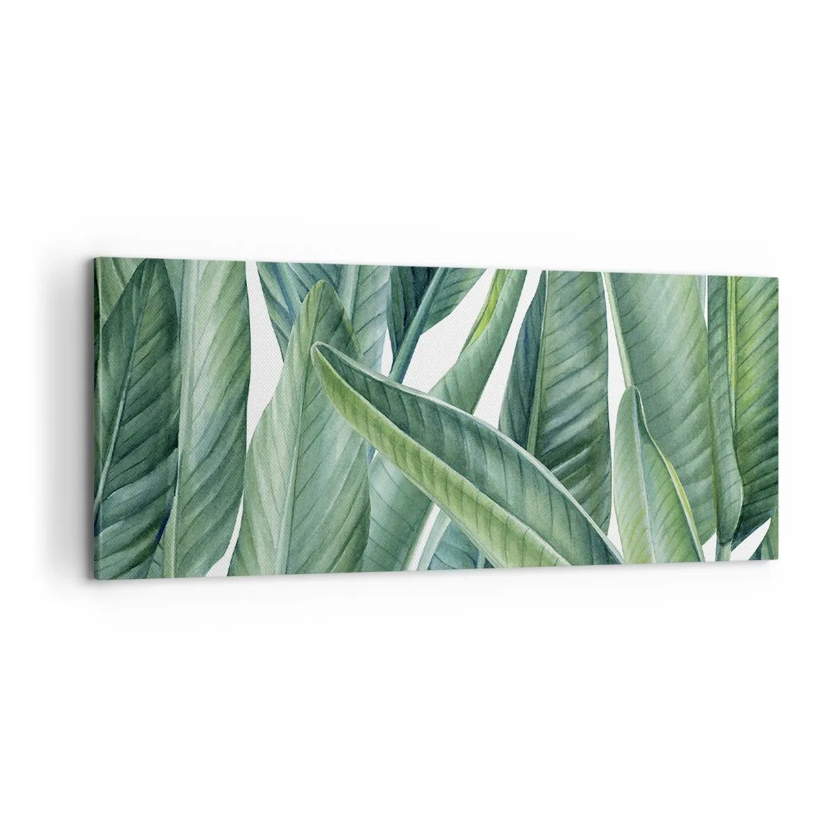 Cuadro sobre lienzo - Impresión de Imagen - Vegetación en estado puro - 100x40 cm