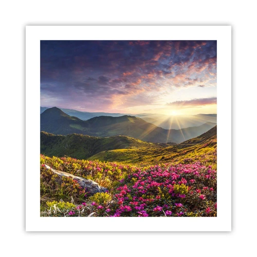 Póster - La frescura de una mañana de montaña - 50x50 cm