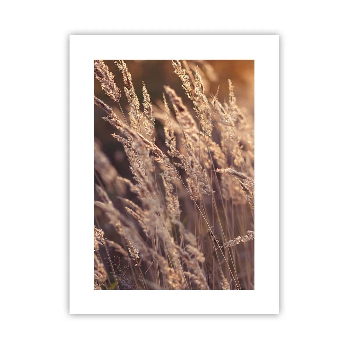 Póster - Listos para dar la bienvenida al otoño - 30x40 cm