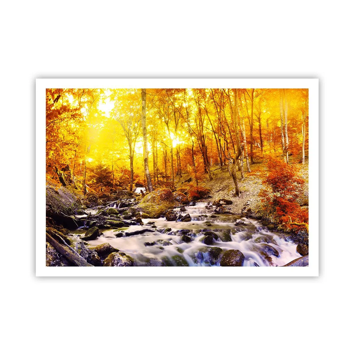 Póster - Bosque otoñal con un arroyo entre hojas doradas - 100x70cm - Piedras bañadas en oro y platino - Decoración de pared moderna para salón y dormitorio ARTTOR