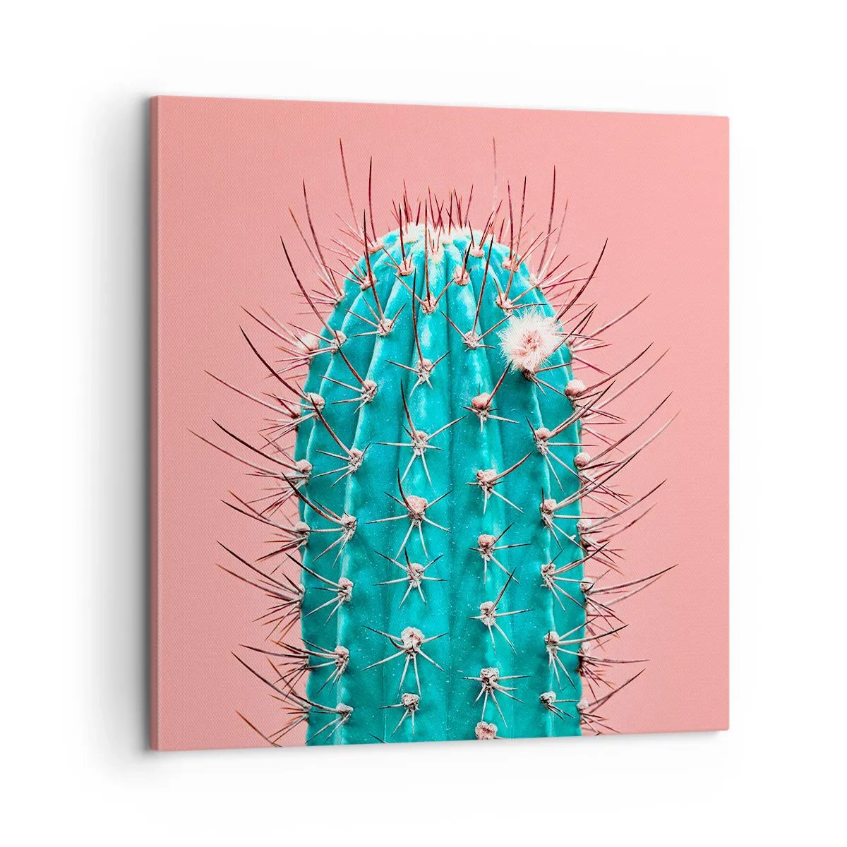 Cuadro sobre lienzo - Impresión de Imagen - Se mira, pero no se toca - 60x60 cm