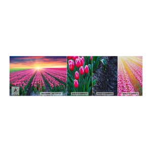Muestra de fotomural Premium Sand - Granja de belleza - flores, tulipanes, Atardecer - 100x30 cm