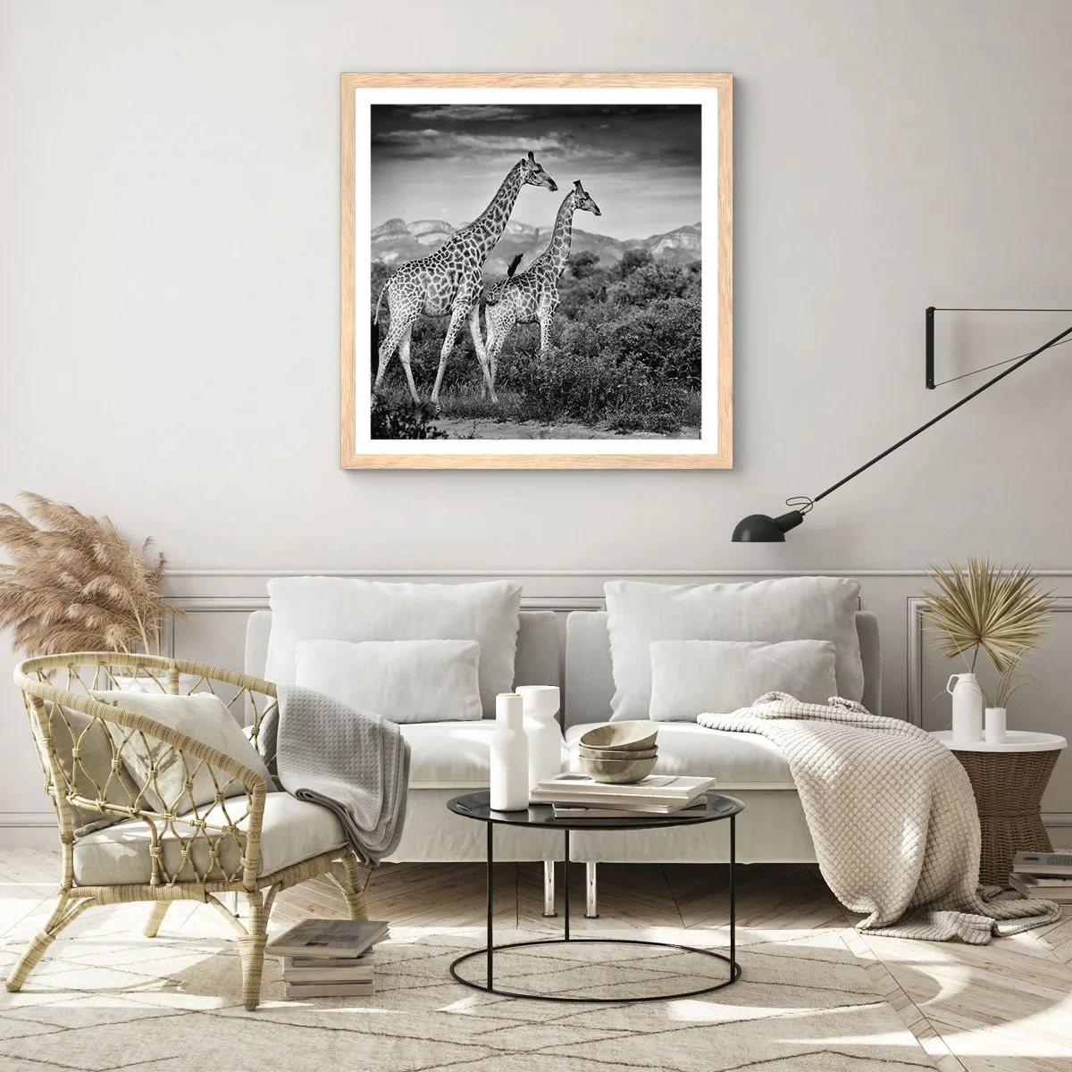 Póster en marco roble claro - La clase alta de África - 50x50 cm