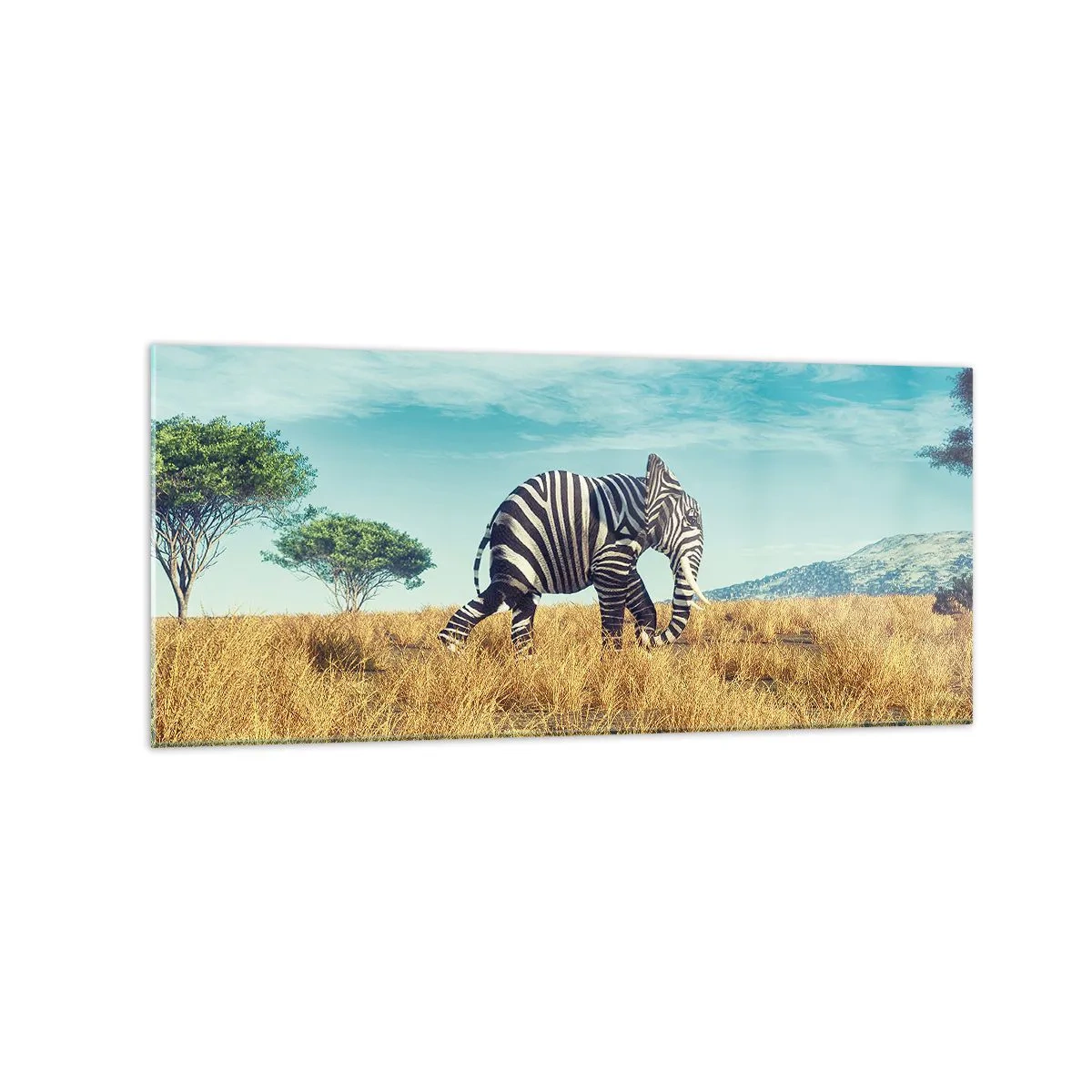 Cuadro sobre vidrio - Impresiones sobre Vidrio - Cebra en un paisaje africano - 120x50cm - El gris ya no está de moda - Decoración de pared moderna para salón y dormitorio ARTTOR
