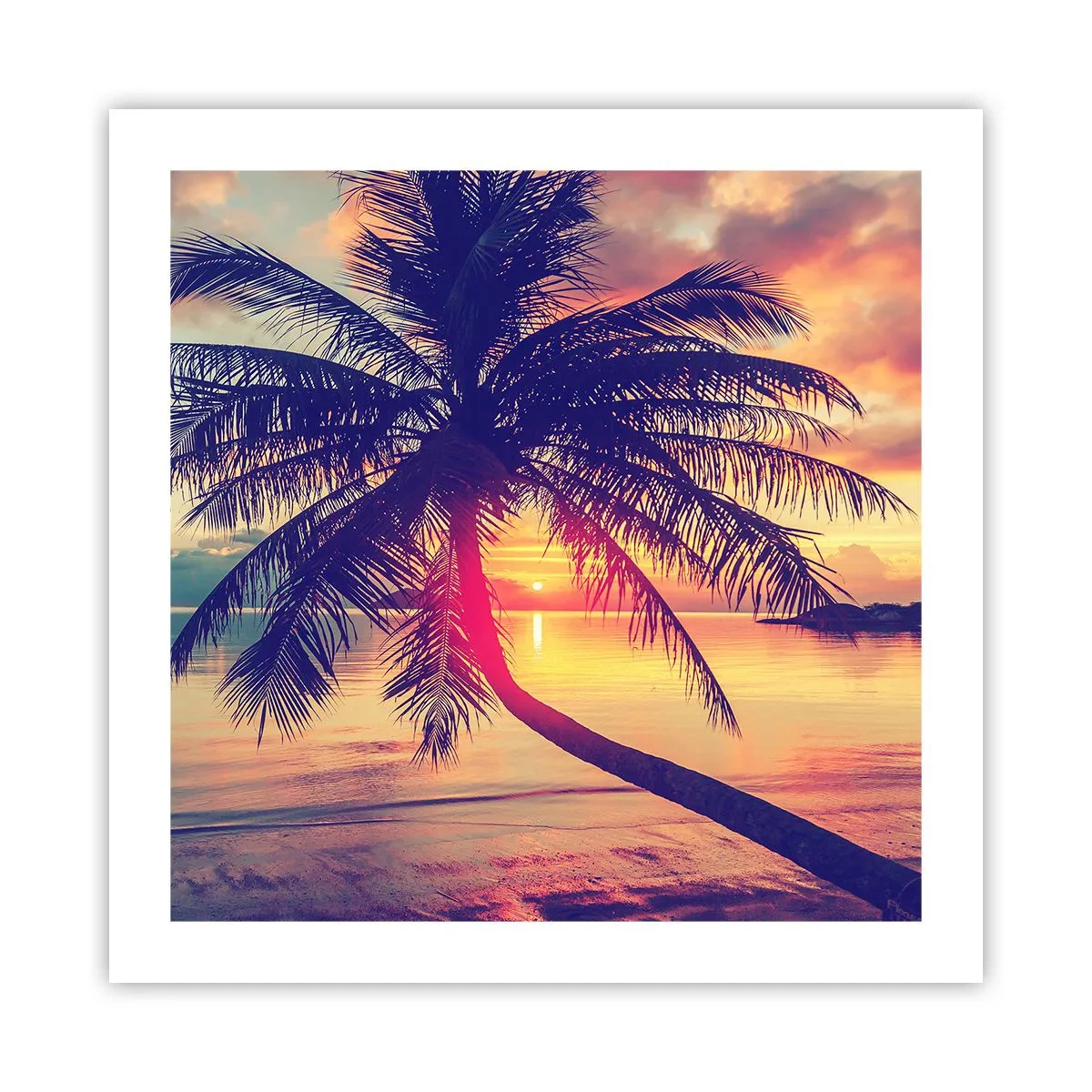 Póster - Atardecer bajo las palmeras - 50x50 cm