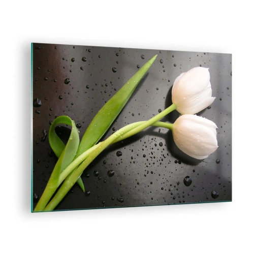 Cuadro sobre vidrio - Impresiones sobre Vidrio - Tulipanes blancos sobre un fondo con gotas de agua. - 70x50cm - Primavera - Decoración de pared moderna para salón y dormitorio ARTTOR