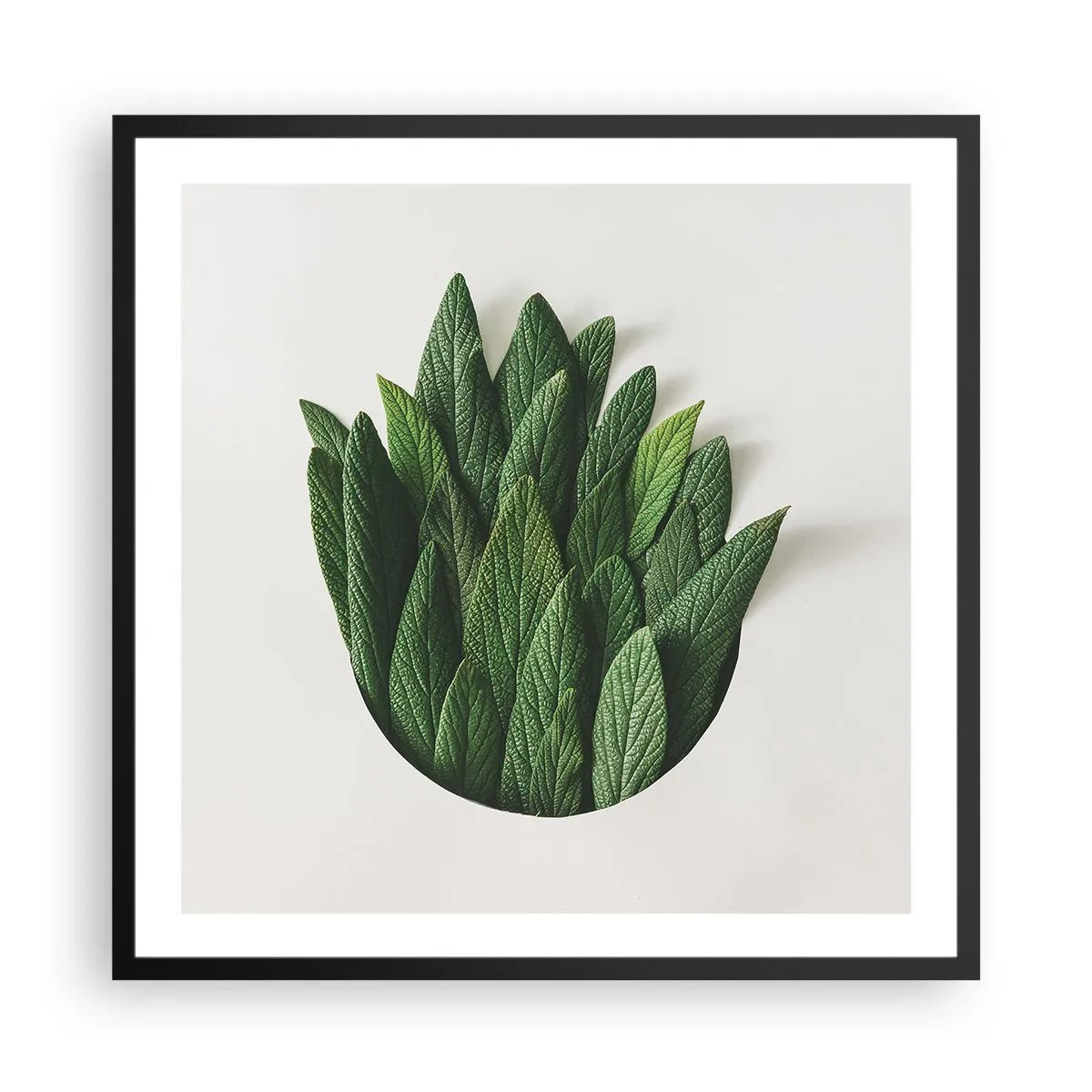 Póster en marco negro - Curiosidad desenfrenada - 60x60 cm