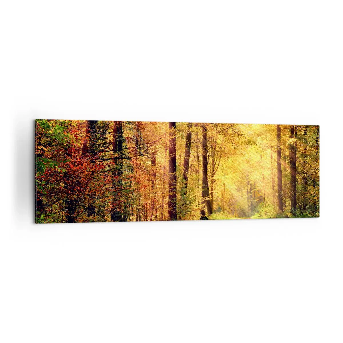 Cuadro sobre lienzo - Impresión de Imagen - Un sendero forestal rodeado de árboles dorados y verdes. - 160x50cm - Silencio dorado del bosque - Decoración de pared moderna para salón y dormitorio ARTTOR