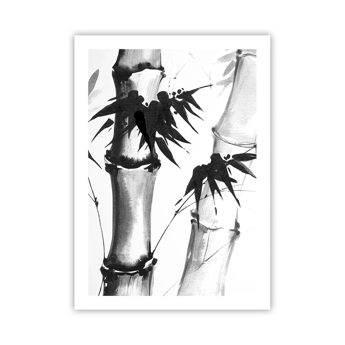 Póster - Tallos y hojas de bambú en estilo blanco y negro. - 50x70cm - Primer plano de Oriente - Decoración de pared moderna para salón y dormitorio ARTTOR