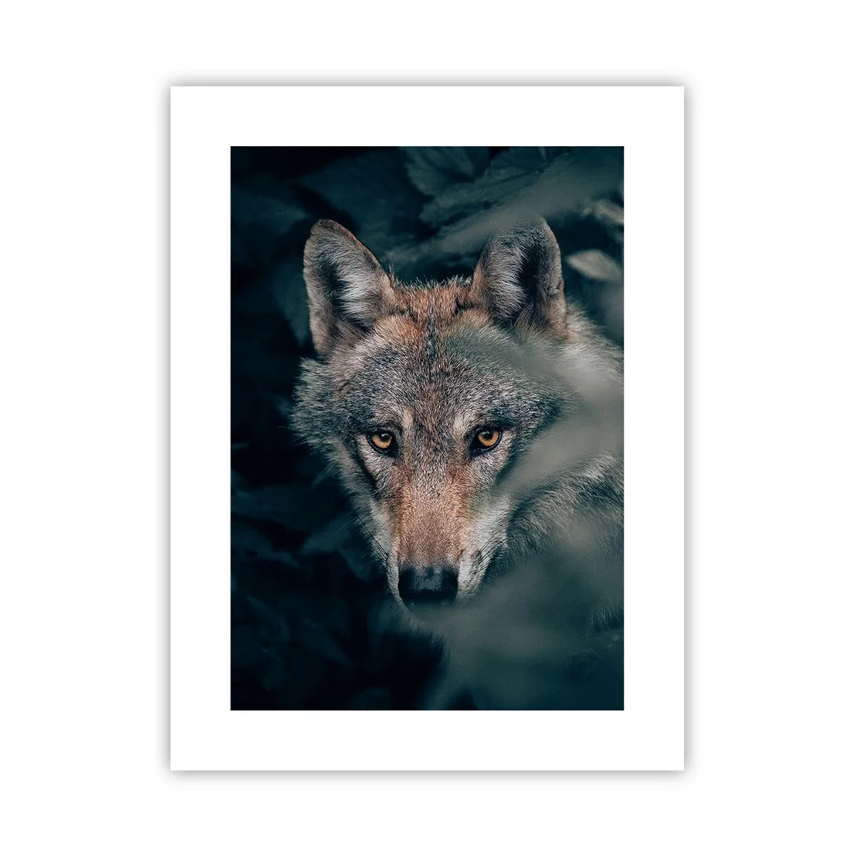 Póster - Cazador - 30x40 cm