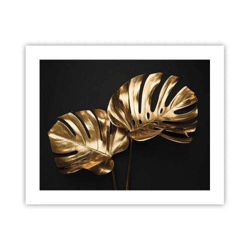 Póster - Tesoros de la naturaleza - 50x40 cm