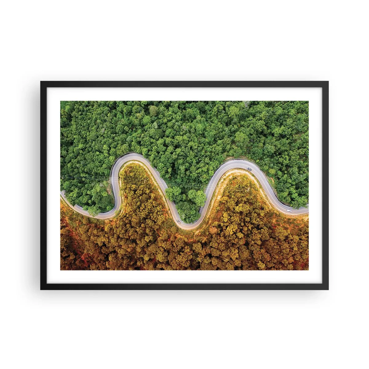 Póster en marco negro - Un camino sinuoso a través del bosque visto a vista de pájaro. - 70x50cm - Frontera serpenteante - Decoración de pared moderna para salón y dormitorio ARTTOR