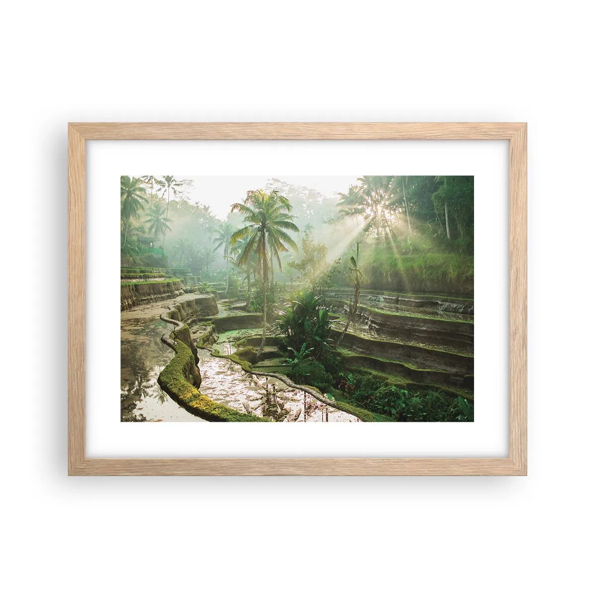 Póster en marco roble claro - Crecer bajo el sol - 40x30 cm