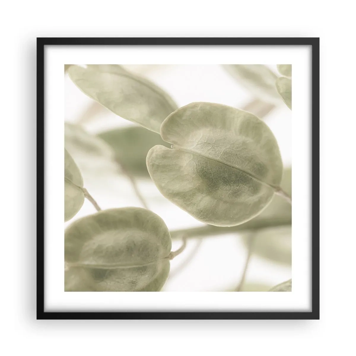 Póster en marco negro - Al principio de los tiempos había hojas... - 50x50 cm