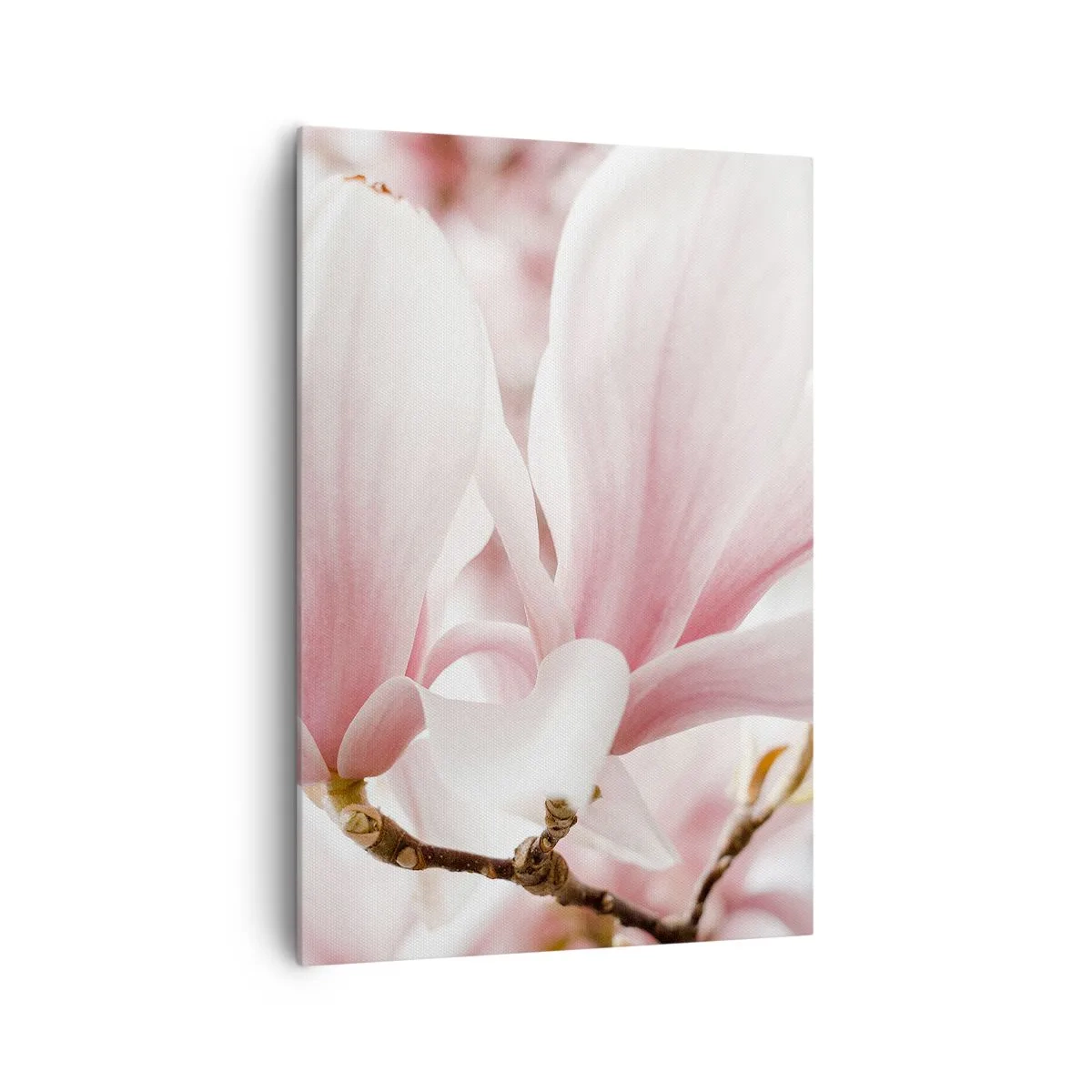 Cuadro sobre lienzo - Impresión de Imagen - Delicadas flores de magnolia en tonos pastel. - 70x100cm - Inmensidad de la ternura - Decoración de pared moderna para salón y dormitorio ARTTOR