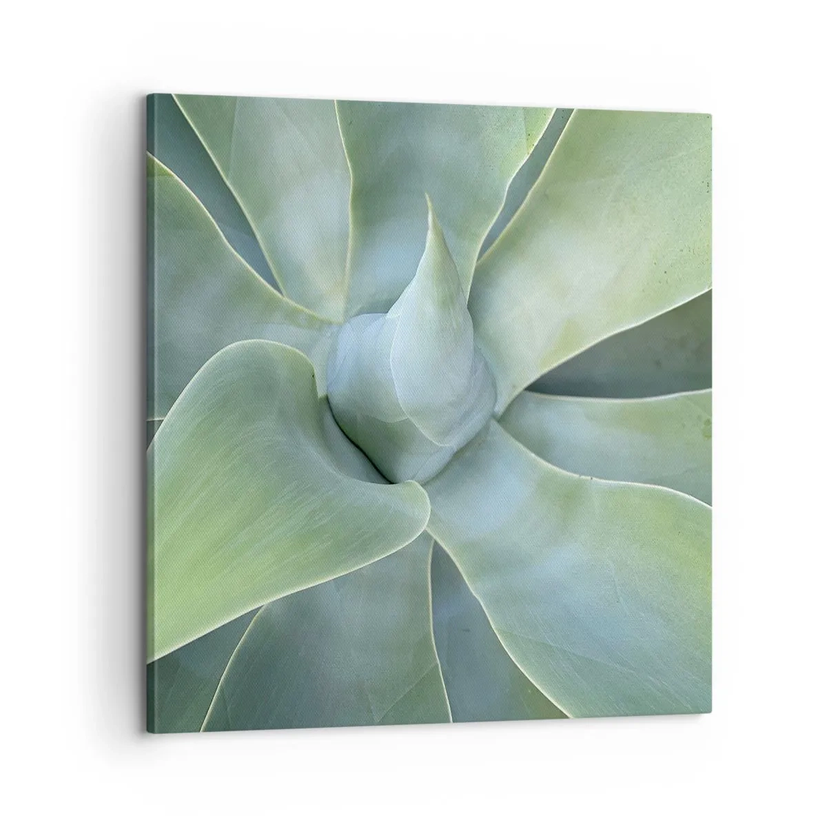 Cuadro sobre lienzo - Impresión de Imagen - El nacimiento del verde - 60x60 cm