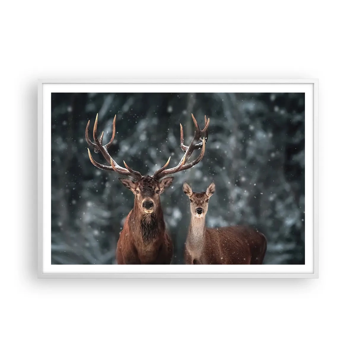 Póster en marco blanco - El señor y la señora del bosque - 100x70 cm