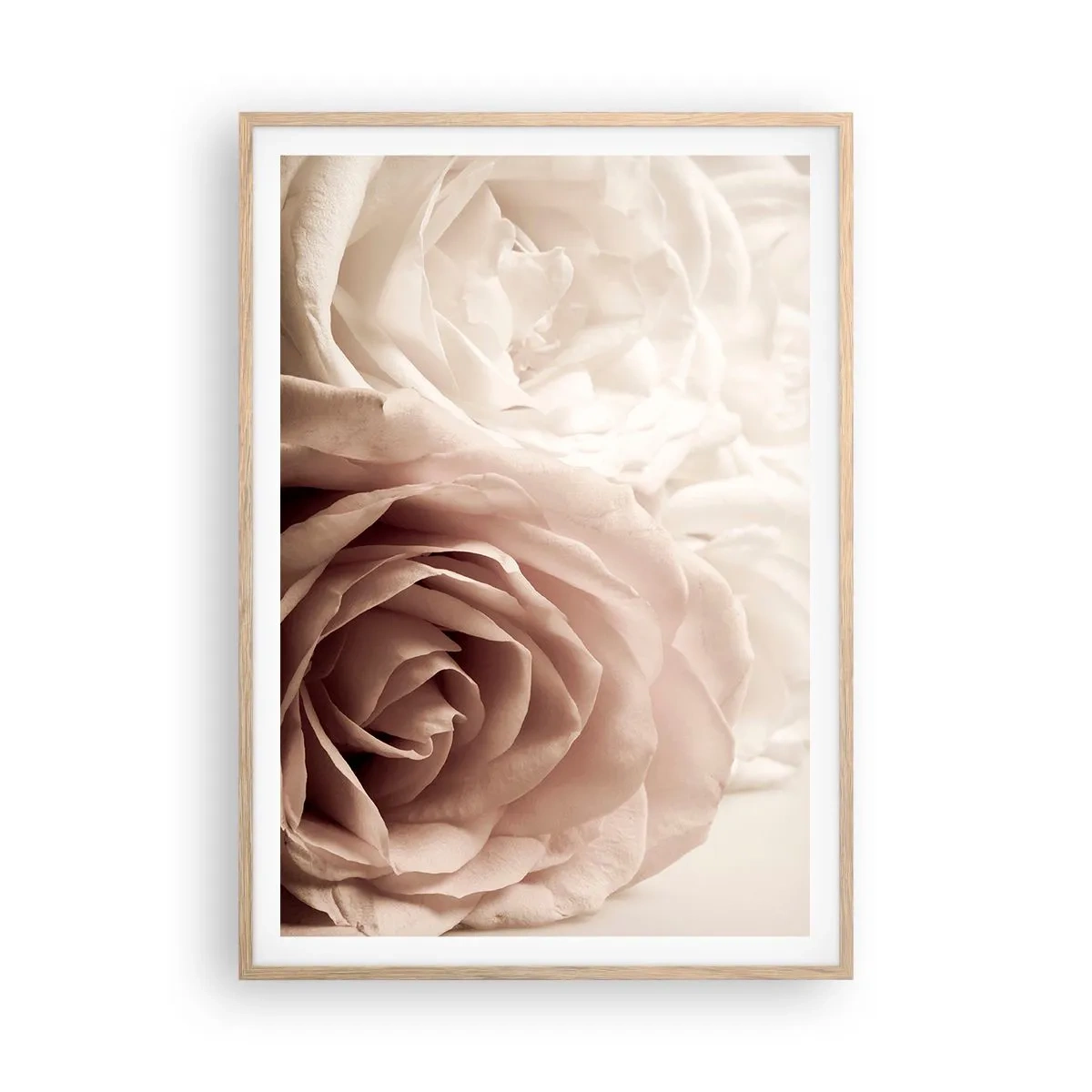 Póster en marco roble claro - En el corazón de una rosa - 70x100 cm