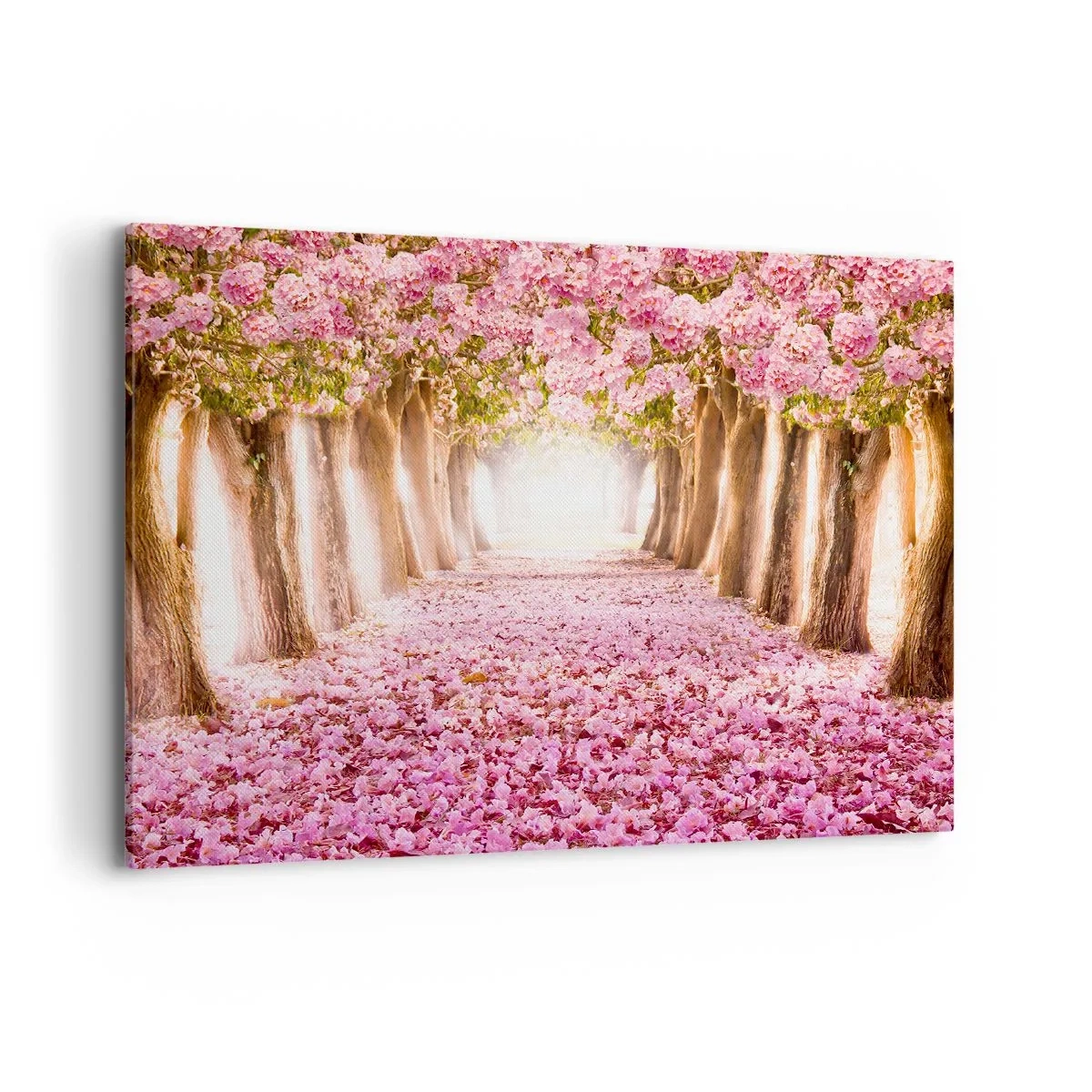 Cuadro sobre lienzo - Impresión de Imagen - Una avenida de árboles en flor en tonos rosa. - 100x70cm - El camino al paraíso - Decoración de pared moderna para salón y dormitorio ARTTOR