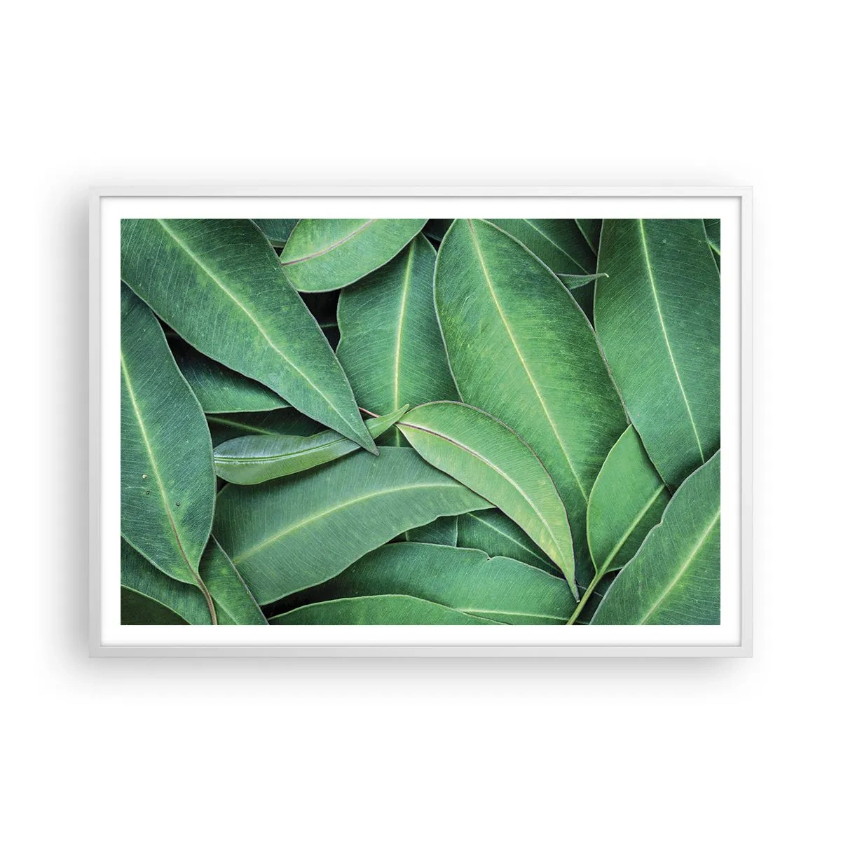 Póster en marco blanco - Jugosidad y frescura - 100x70 cm