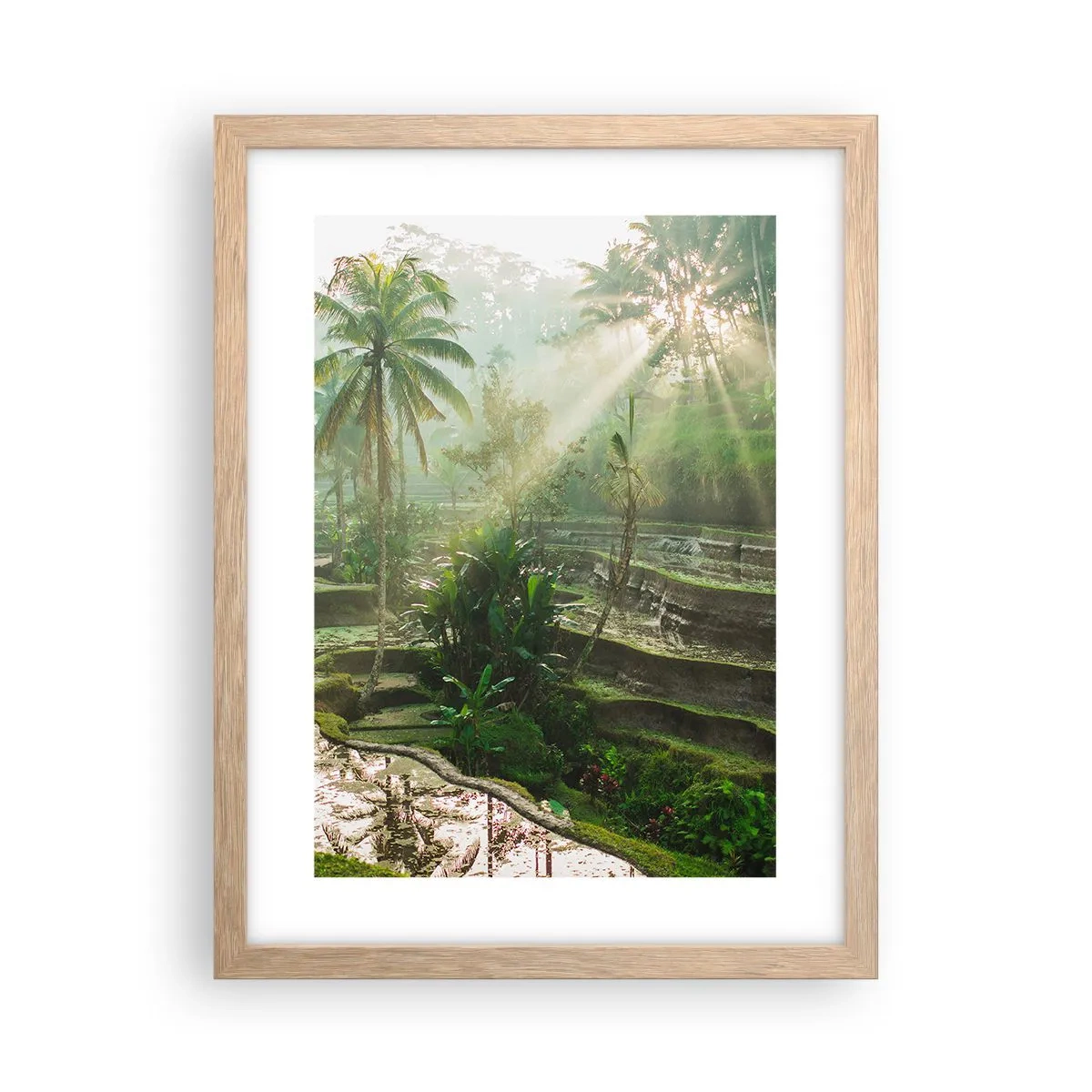 Póster en marco roble claro - Crecer bajo el sol - 30x40 cm
