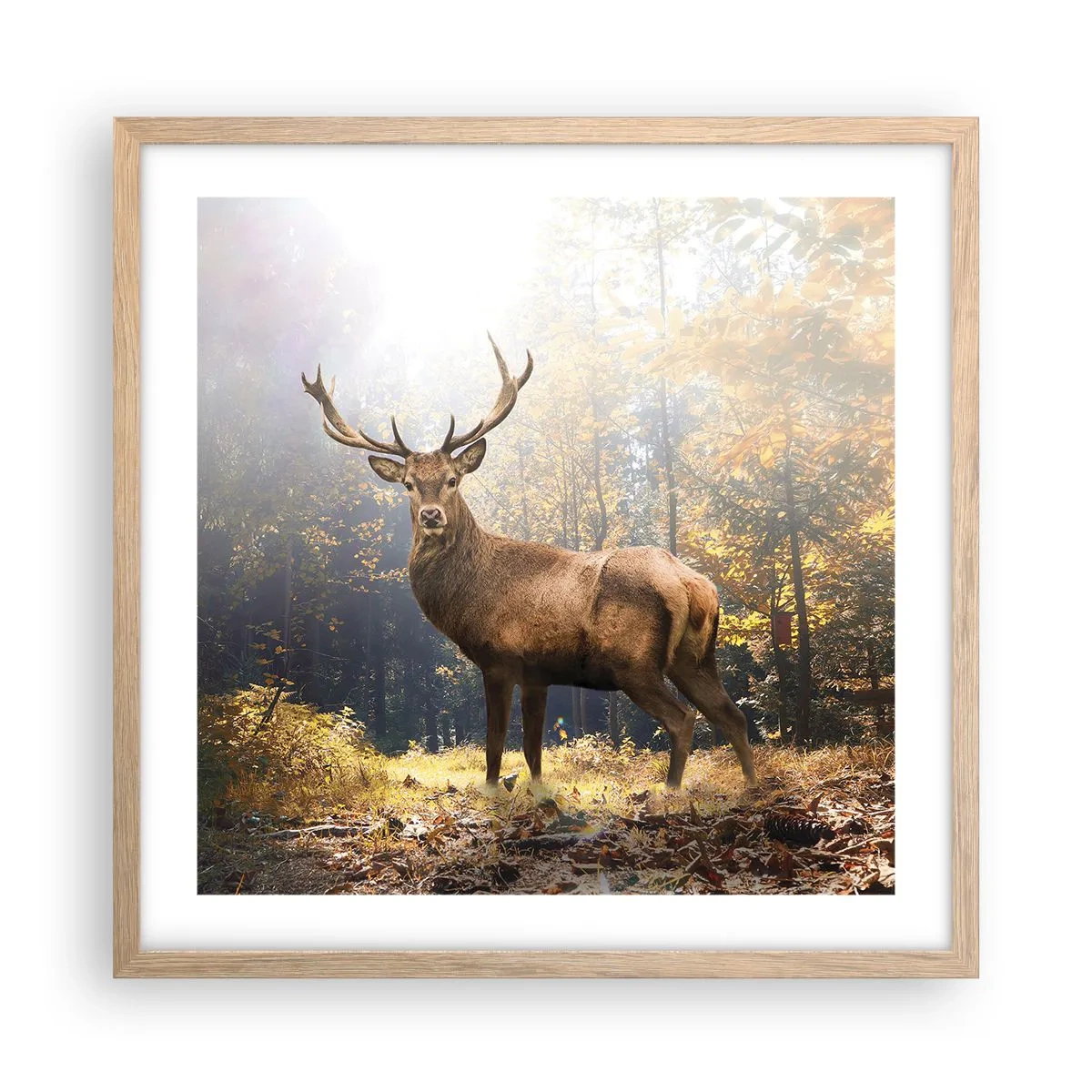 Póster en marco roble claro - Con toda la majestuosidad - 50x50 cm