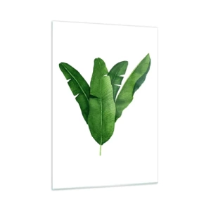 Cuadro sobre vidrio - Impresiones sobre Vidrio - Cuatro hojas de plátano verdes sobre un fondo blanco. - 50x70cm - Simetría verde - Decoración de pared moderna para salón y dormitorio ARTTOR