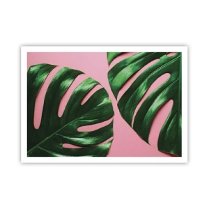 Póster - Hojas de monstera verde sobre un fondo rosa - 100x70cm - Cita con el verde - Decoración de pared moderna para salón y dormitorio ARTTOR