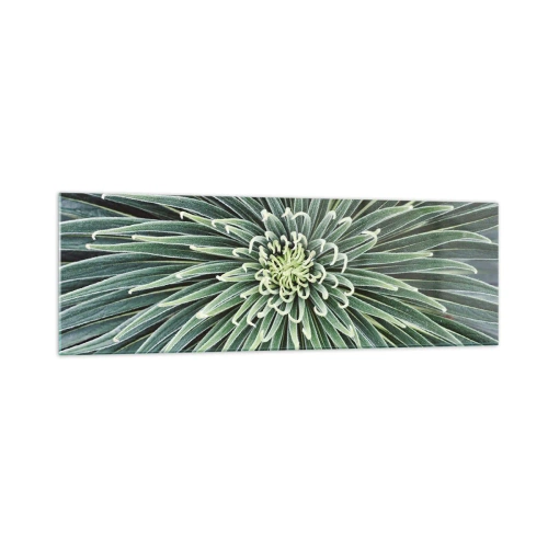 Cuadro sobre vidrio - Impresiones sobre Vidrio - Disposición simétrica de hojas verdes que se asemeja a una estrella. - 160x50cm - El nacimiento de una estrella - Decoración de pared moderna para salón y dormitorio ARTTOR