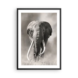 Póster en marco negro - Retrato monocromático de un majestuoso elefante - 50x70cm - Patriarca africano - Decoración de pared moderna para salón y dormitorio ARTTOR