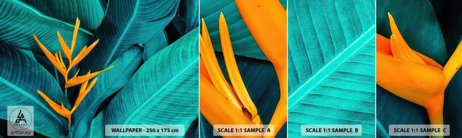 Muestra De Fotomural Standard Eco - Flor del Edén - Strelitzia real, Flor, África - 100x30 cm